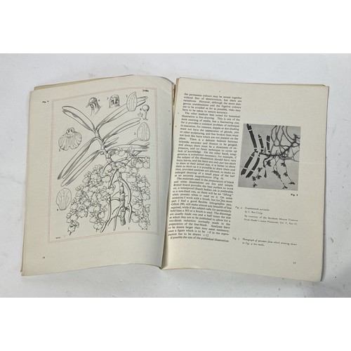 189 - A Botanical Illustration Offprint, Illustrations and Wrappers by Stella Ross-Craig Inscribed by The ... 