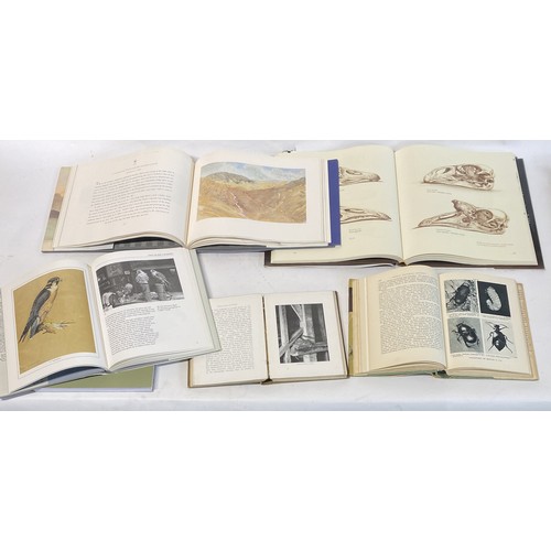 206 - Collection of Wildlife, Art and Photography Books to Include A. D Imms, R Kearton Etc.