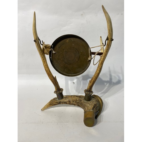 240 - Taxidermy Deer Antlers In The Form Of A Gong. 45cm x 30cm