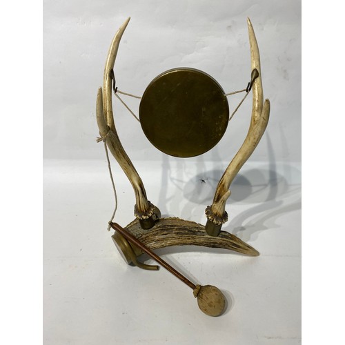 240 - Taxidermy Deer Antlers In The Form Of A Gong. 45cm x 30cm