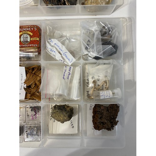 242 - Four Trays of Natural History Examples to Include, Minerals, Fossils, Shells, Taxidermy Etc.