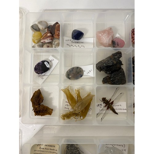 243 - Similar to Previous Lot. Four Trays of Natural History Examples to Include Minerals, Taxidermy, Shel... 