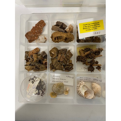 243 - Similar to Previous Lot. Four Trays of Natural History Examples to Include Minerals, Taxidermy, Shel... 