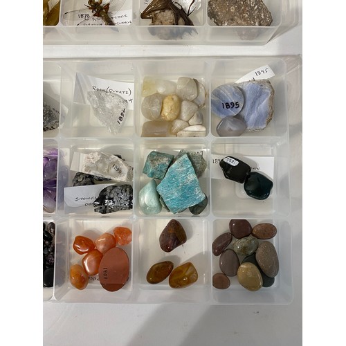 243 - Similar to Previous Lot. Four Trays of Natural History Examples to Include Minerals, Taxidermy, Shel... 