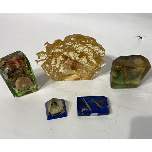 246 - Box of Lucite Sea Creatures Including Seahorses, Fish Etc. Dioramas .