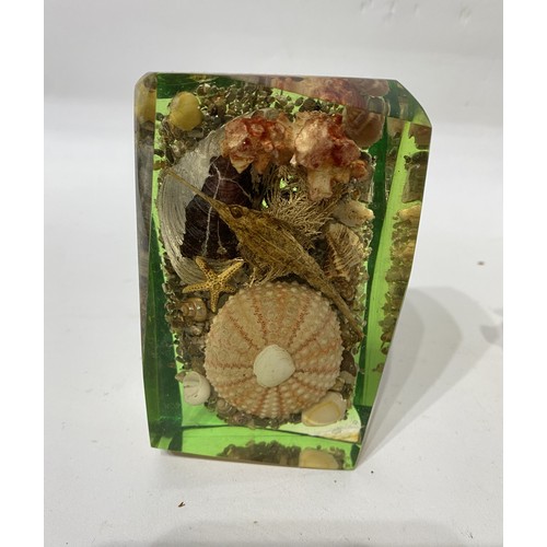 246 - Box of Lucite Sea Creatures Including Seahorses, Fish Etc. Dioramas .