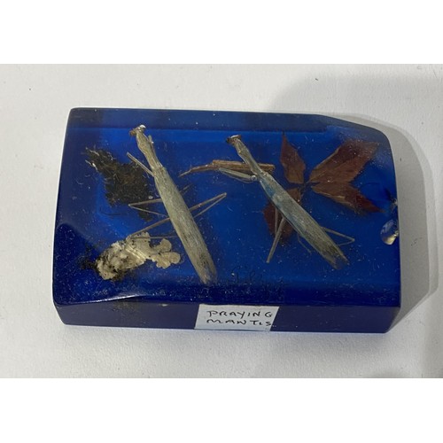 246 - Box of Lucite Sea Creatures Including Seahorses, Fish Etc. Dioramas .