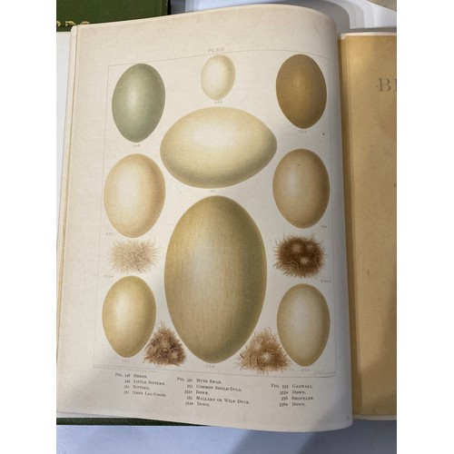 248 - British Birds With Their Nests and Eggs in Six Volumes Illustrated by F.W Frohawk