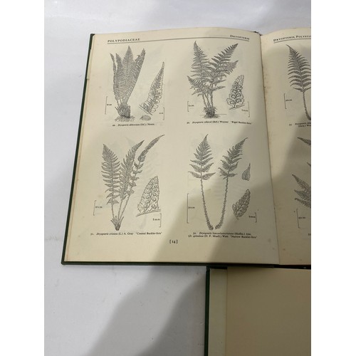 251 - British Flora Illustrations Volumes I - IV. Drawings by Sybil J Roles