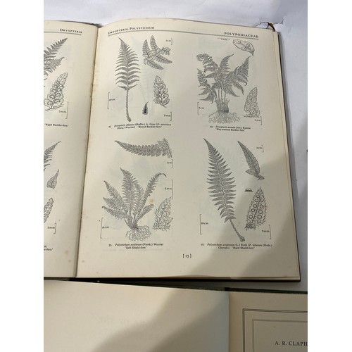 251 - British Flora Illustrations Volumes I - IV. Drawings by Sybil J Roles