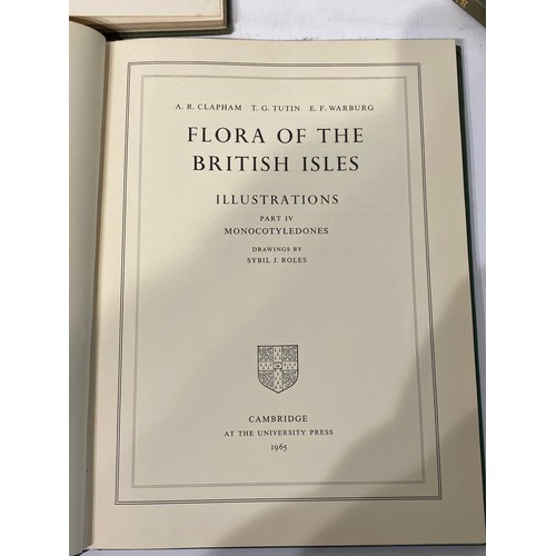 251 - British Flora Illustrations Volumes I - IV. Drawings by Sybil J Roles