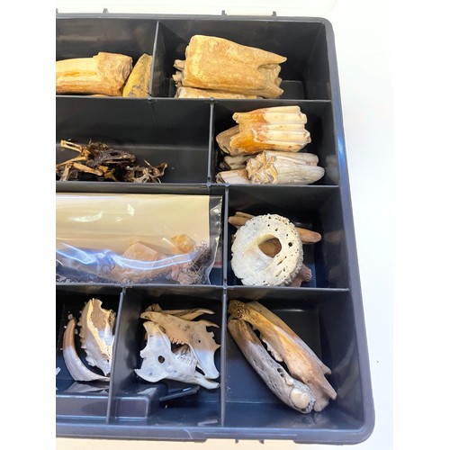 360 - Case Of Various Natural History To Include Teeth, Bones Etc Etc