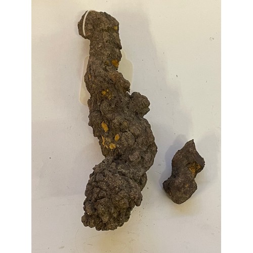 365 - Natural History Fossilised Dinasaur Coprolite   16cms And 5 cms (2)