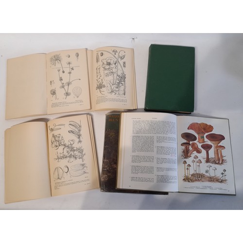 253 - 6 books to include Drawings of British plants by Stella Ross-Craig part 1, 2, and part 7.  (6)