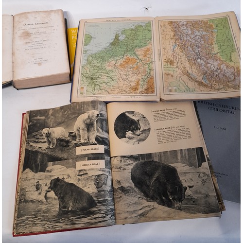 254 - 13 x books on various subjects to include 'on the BIRDS Collected and Observed during the Voyage of ... 