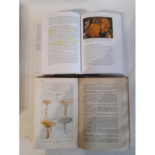 262 - 2 Hardback Books on the subject of FUNGI
Fungi by Brian Spooner and Peter Roberts published 2005 and... 