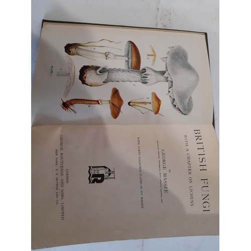 263 - 2 Hardback Books  on the Subject of Fungi and Lichens
Introduction to the Study of Fungi by M.C. COO... 