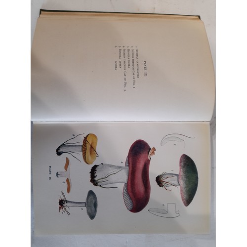 263 - 2 Hardback Books  on the Subject of Fungi and Lichens
Introduction to the Study of Fungi by M.C. COO... 