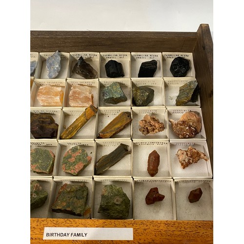 278 - Eight Drawer Wooden Cabinet with Contents to Include Extensive Collection of Mineral Samples.