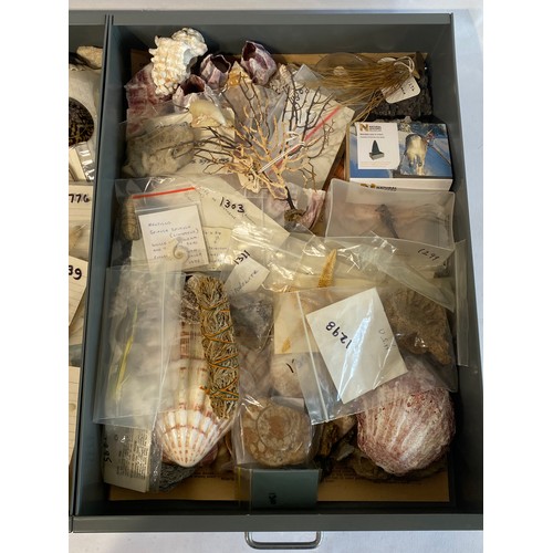 281 - A Very Large Extensive Collection of Mostly Shells and Samples to Include Some Taxidermy Etc. (Trays... 