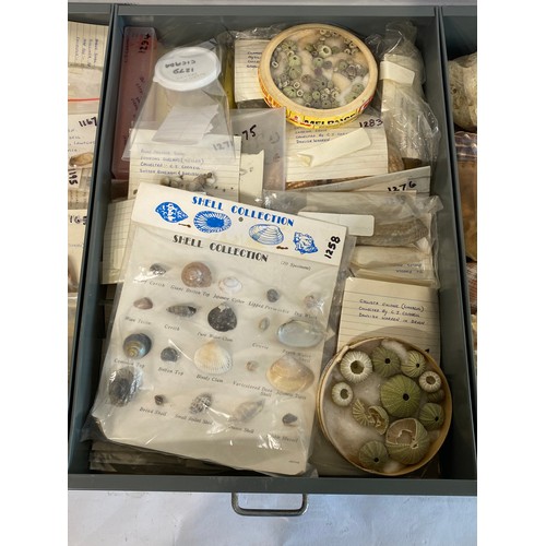 281 - A Very Large Extensive Collection of Mostly Shells and Samples to Include Some Taxidermy Etc. (Trays... 