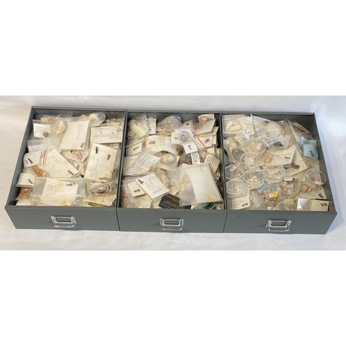 281 - A Very Large Extensive Collection of Mostly Shells and Samples to Include Some Taxidermy Etc. (Trays... 