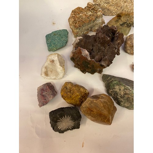 388 - Collection of Rocks, Minerals and Fossils to Include Amazonite,etc.