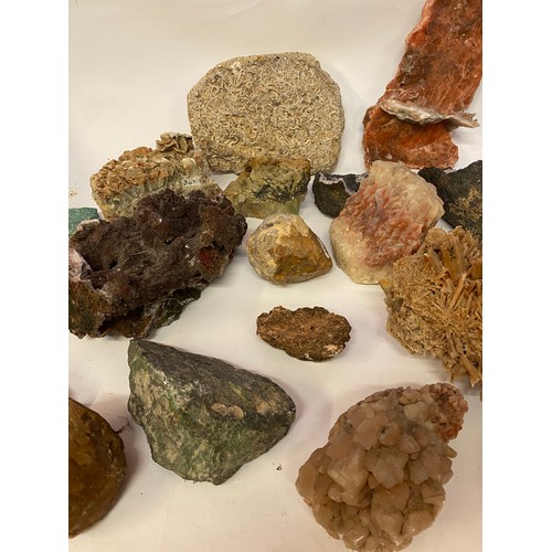 388 - Collection of Rocks, Minerals and Fossils to Include Amazonite,etc.