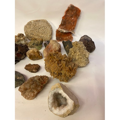 388 - Collection of Rocks, Minerals and Fossils to Include Amazonite,etc.