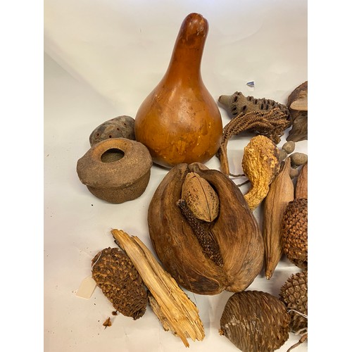 389 - A Quantity of Natural History, Tree, Gourd and Wood and Seed Examples Etc