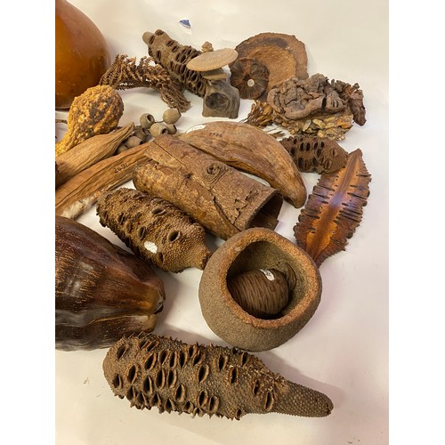 389 - A Quantity of Natural History, Tree, Gourd and Wood and Seed Examples Etc