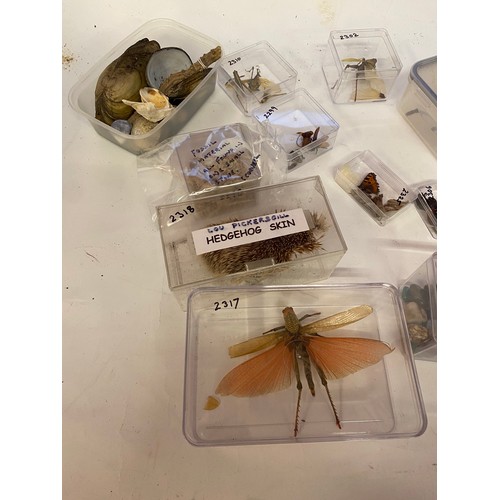 390 - Collection of Natural History Insects, Taxidermy, Minerals, Shell Examples to Include Hedgehog Skin,... 