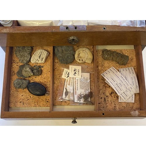 396 - A Nice Specimen Cabinet With Natural History Contents Etc.