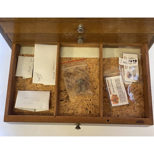 396 - A Nice Specimen Cabinet With Natural History Contents Etc.