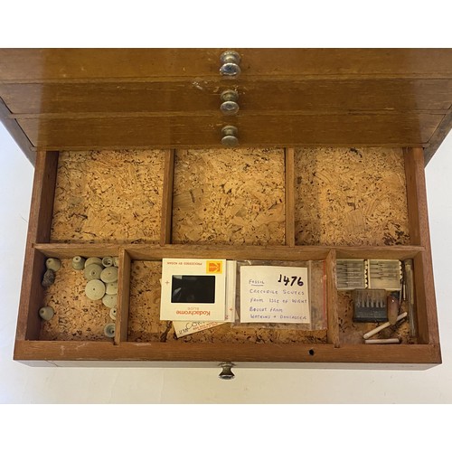 396 - A Nice Specimen Cabinet With Natural History Contents Etc.