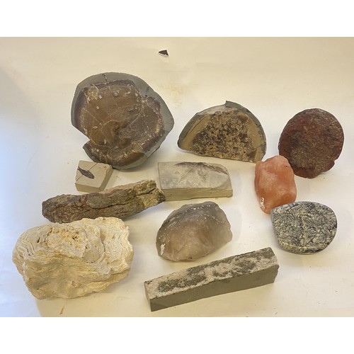 399 - Collection of Minerals, Rocks and Fossils to Include Himalayan Pink Salt  Etc.