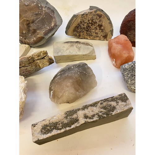 399 - Collection of Minerals, Rocks and Fossils to Include Himalayan Pink Salt  Etc.