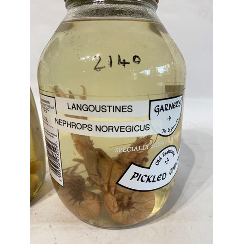 287 - Two Jars of Wet Samples to Include Langoustine Samples and Madagascan Crevettes. Nos 2140 and 2140