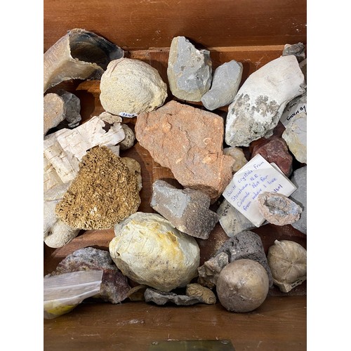 291 - Collection of Rocks , Fossils  and Minerals in Drawer Etc.