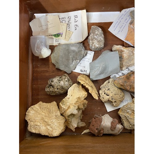 292 - Collection of Mostly Rocks and Minerals in Drawer With Wet Sample of Jellyfish  Etc.