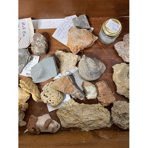 292 - Collection of Mostly Rocks and Minerals in Drawer With Wet Sample of Jellyfish  Etc.