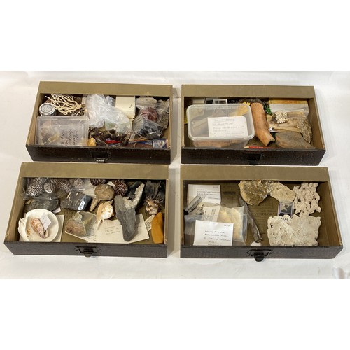 294 - Animal Skin Cover Specimen Cabinet With 8 Drawers Containing Contents of  Natural History, Taxidermy... 