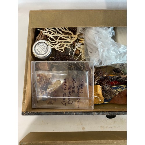 294 - Animal Skin Cover Specimen Cabinet With 8 Drawers Containing Contents of  Natural History, Taxidermy... 