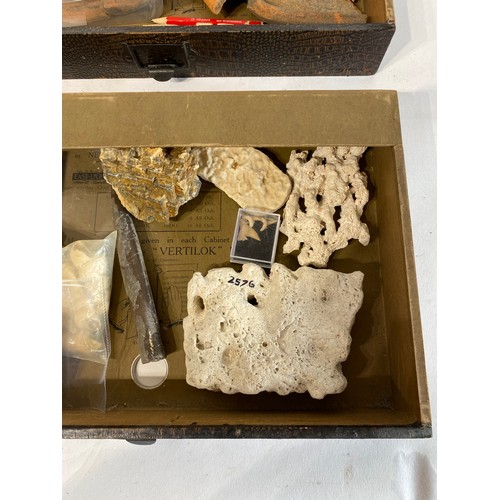 294 - Animal Skin Cover Specimen Cabinet With 8 Drawers Containing Contents of  Natural History, Taxidermy... 