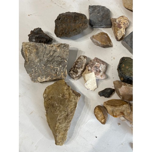 295 - A Collection of Geological Rocks and Minerals