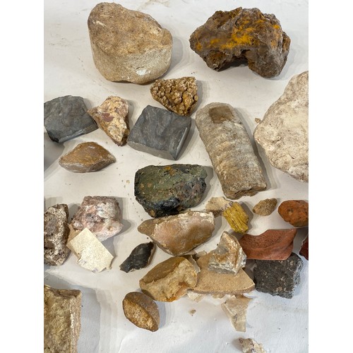 295 - A Collection of Geological Rocks and Minerals