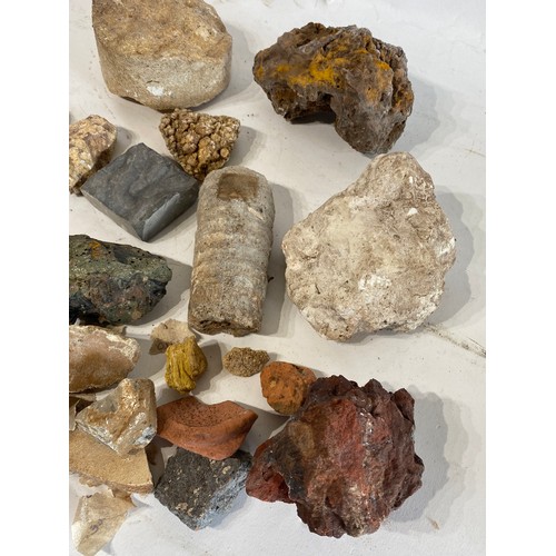 295 - A Collection of Geological Rocks and Minerals