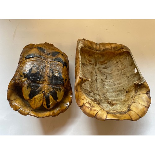 386 - Natural History: Two Tortoise Shells. Largest 20 x 16 cms (2)