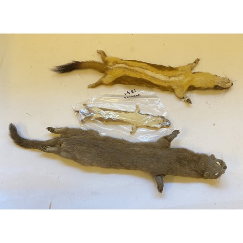 397 - Two Soft Taxidermy Common Stouts Along With A Weasel (3). Largest 50cm Length