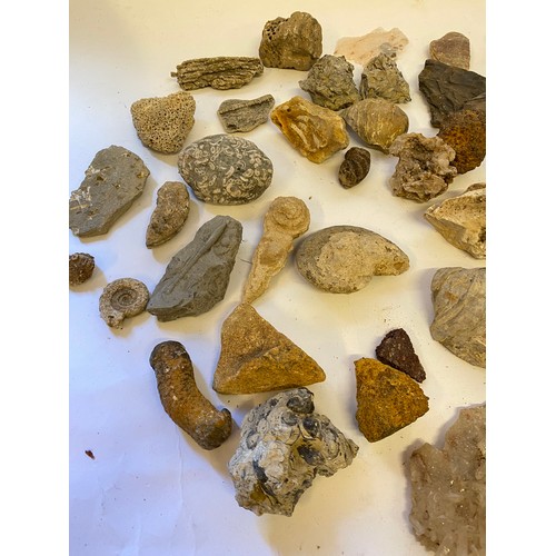 403 - A Quantity of Natural History Rocks, Minerals and Fossils